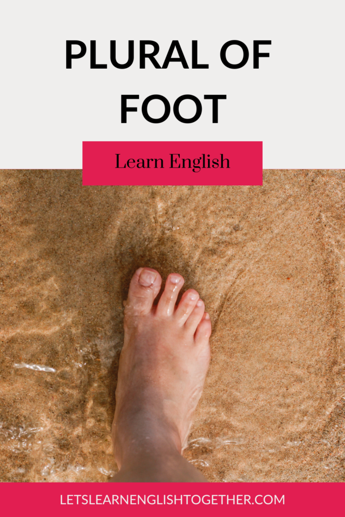 Plural of foot