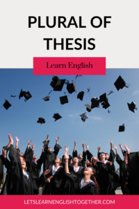 to the plural of thesis